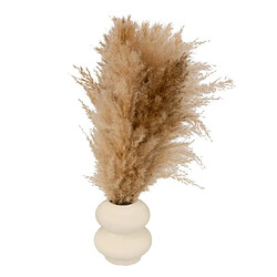 Atmosphera Composition Pampa Artificielle Glen 42cm Blanc