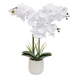 Atmosphera Orchidée Artificielle en Pot Riva 60cm Blanc