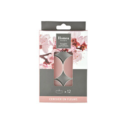 Avis Paris Prix Lot de 12 Bougies Chauffe-Plat Essentiel II 3,5cm Cerisier en Fleurs