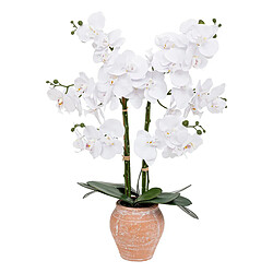Atmosphera Orchidée Artificielle en Pot Dena 65cm Blanc