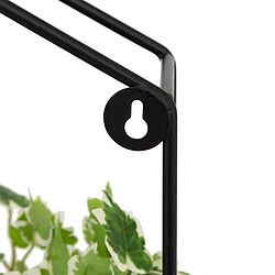 Atmosphera Plante Artificielle à Suspendre Curt 35cm Noir