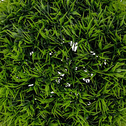 Atmosphera Boule d'Herbe Artificielle Carly 18cm Vert