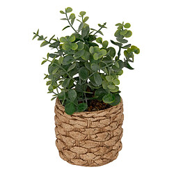 Atmosphera Eucalyptus Artificiel en Pot Jaye 27cm Vert