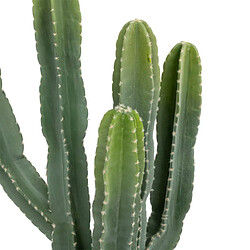 Atmosphera Cactus Artificiel Exotic Panama 117cm Vert