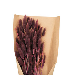 Atmosphera Bouquet de Fleurs Queue de Lapin 58cm Violet