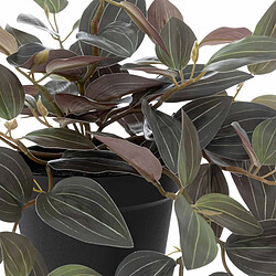 Atmosphera Plante Artificielle en Pot Tradescantia 45cm Noir