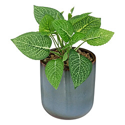 Atmosphera Plante Artificielle en Pot Reac 16cm Bleu & Vert