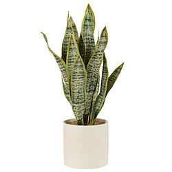 Paris Prix Plante Artificielle en Pot Sansevieria 60cm Vert 