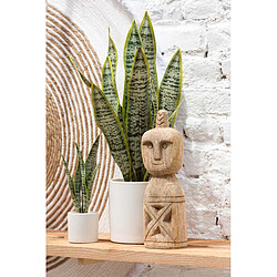 Plante & fleur artificielle