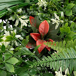 Atmosphera Carré Végétal Artificiel Tropical Izy 50cm Vert