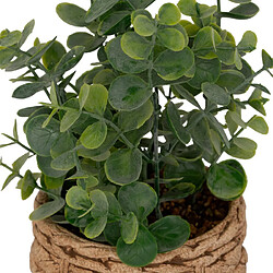 Atmosphera Eucalyptus Artificiel en Pot Jaye 27cm Vert