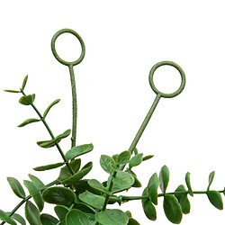 Avis Atmosphera Guirlande d'Eucalyptus Artificiel Walker 170cm Vert