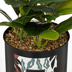 Atmosphera Plante Artificielle en Pot Cosy 20cm Noir & Vert