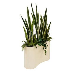 Atmosphera Sansevieria Artificielle en Pot Sky 163m Vert & Beige