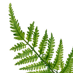 Atmosphera Tige Artificielle Fougère James 90cm Vert