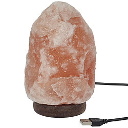 Paris Prix Lampe de Sel à Poser Pierre 17cm Rose