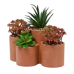 Atmosphera Plantes Grasses Artificielles en Pot Wonj 22cm Terracotta