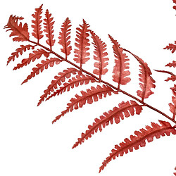 Atmosphera Tige Artificielle Fougère James 90cm Rouge