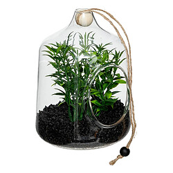 Atmosphera Terrarium à Suspendre Naly 15cm Vert