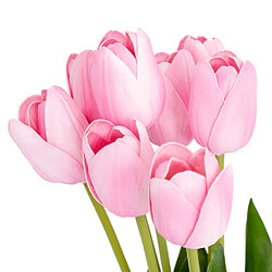 Atmosphera Bouquet de Fleurs Artificielles Tulipes 48cm Rose
