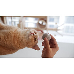 Avis Cheerble Ball M1, Balle auto-roulante pour chat
