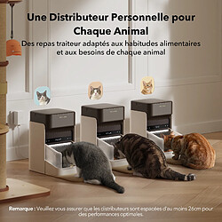 Accessoires aquarium