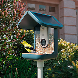 Birdbuddy Mangeoire à Oiseaux Intelligente Solaire avec caméra pas cher