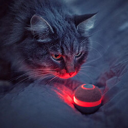 Acheter Cheerble Ball M1, Balle auto-roulante pour chat