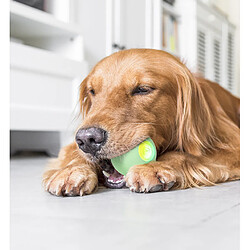 Avis Cheerble Wicked Ball PE, Balle auto-roulante pour chien