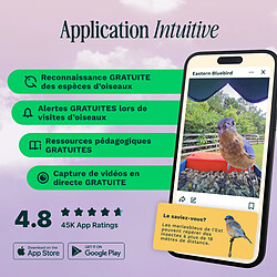 Avis Birdbuddy Mangeoire à Oiseaux Intelligente Solaire avec caméra