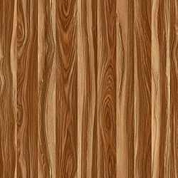 Paris Prix Rouleau Adhésif Chêne Bircky 45x200cm Marron