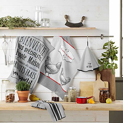 Avis Paris Prix Torchon de Cuisine En Cuisine 50x70cm Gris
