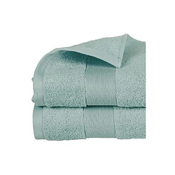 Atmosphera Serviette d'Invité Confort 30x50cm Givre