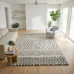UnAmourDeTapis Tapis berbère 280x380 tissé motifs tribaux LYN8 MABAL beige