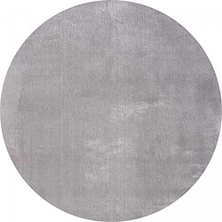 UnAmourDeTapis Tapis salon Ø200cm LYN10 LAVABLE Gris uni, tapis shaggy à longs poils