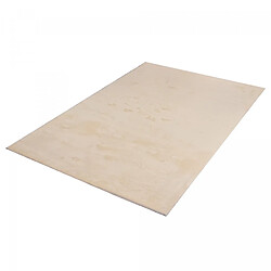 Acheter UnAmourDeTapis Tapis salle à manger 240x340 LYN10 LAVABLE Beige uni, tapis shaggy à longs poils