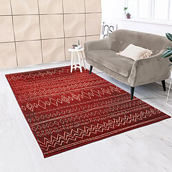 UnAmourDeTapis Tapis berbère 270x370 tissé motifs tribaux LYN1 BERBI rouge