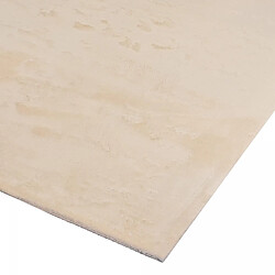 UnAmourDeTapis Tapis salle à manger 240x340 LYN10 LAVABLE Beige uni, tapis shaggy à longs poils pas cher