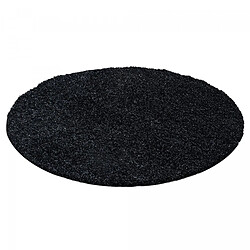 UnAmourDeTapis Tapis poils longs shaggy Ã˜200cm rond tissÃ© antracite motif uni UNI L
