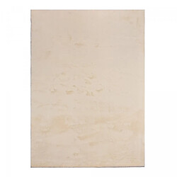 UnAmourDeTapis Tapis salon LYN10 LAVABLE 200x280 soyeux et doux, tapis beige uni à l'aspect Shaggy