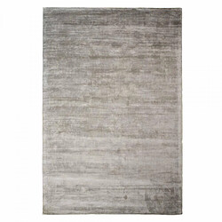 UnAmourDeTapis Tapis salon 200x300 NEO + Argent, tapis ton sur ton moderne
