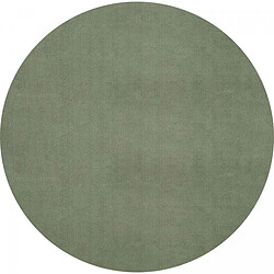 UnAmourDeTapis Tapis rond salon Ø200cm LYN10 LAVABLE Vert uni, tapis shaggy à longs poils