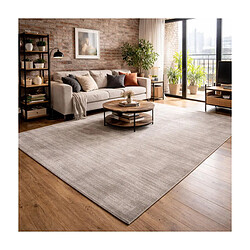 UnAmourDeTapis Tapis salon 200x300 NEO + Argent, tapis ton sur ton moderne