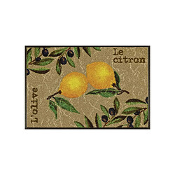 UnAmourDeTapis Paillasson 50x75 tissé motif floral LE CITRON marron