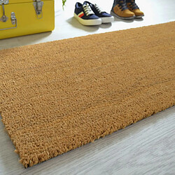Tapis