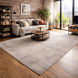 UnAmourDeTapis Tapis salon 200x300 NEO + Argent, tapis ton sur ton moderne