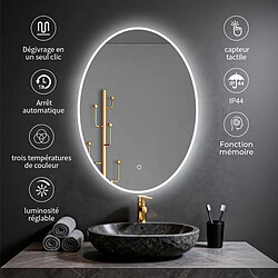Saniland Miroir salle de bain LED ovale - Blanc