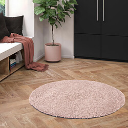 Tapis