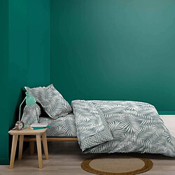 Avis Douceur D'Interieur Drap Housse en Coton Botania 90x190cm Sauge