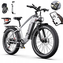 velo electrique Adulte DUOTTS F26 - Moteur 500W - batterie 48V 18Ah - SHIMANO 7 vitesses -Assistance 100KM - VTT homme
